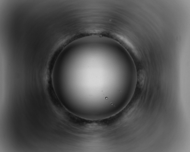 X0000092230544200709211027