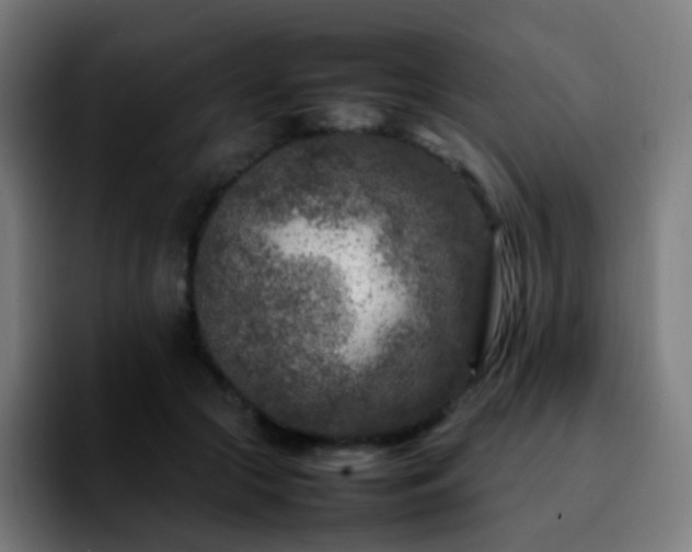 X0000092230553200709211027