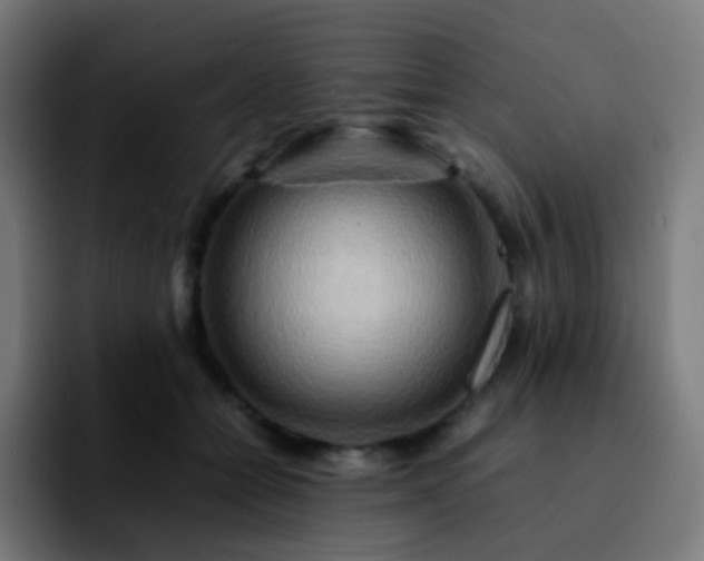 X0000092230558200709211027
