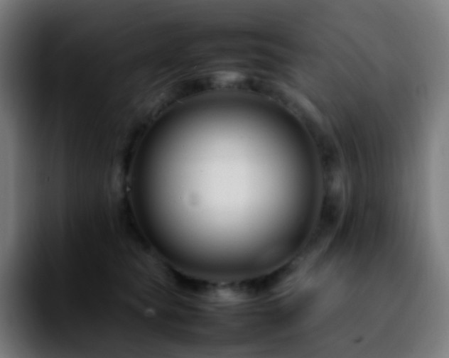 X0000092230565200709211027