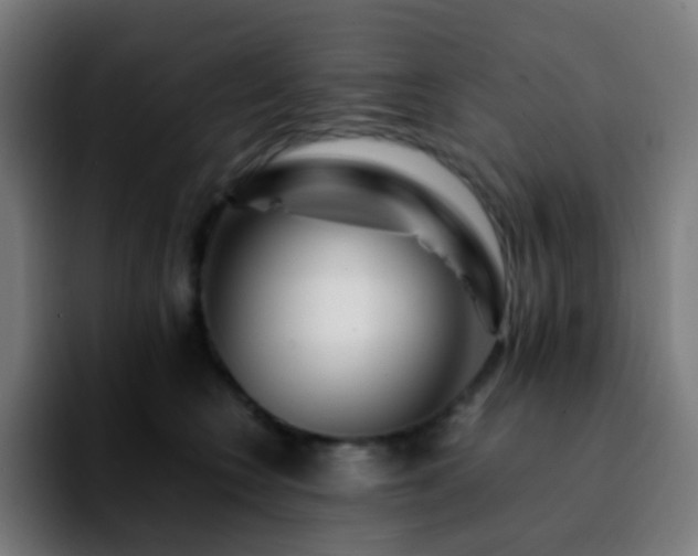 X0000092230566200709211027