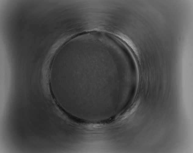 X0000092230577200709211027