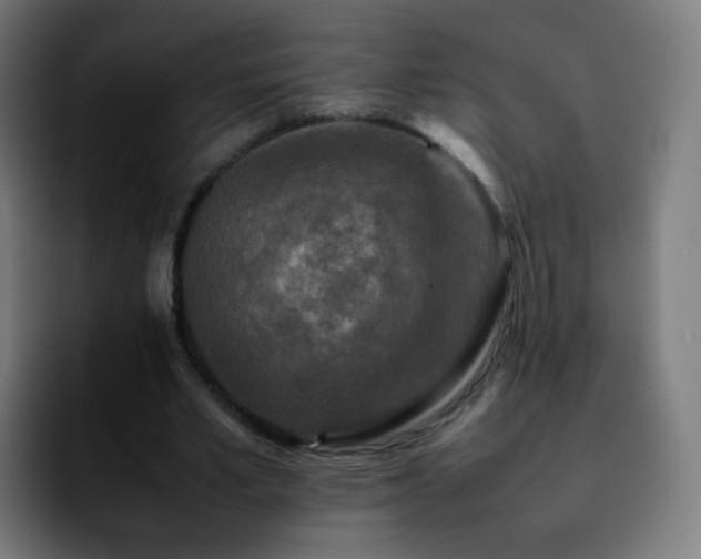 X0000092230581200709211027