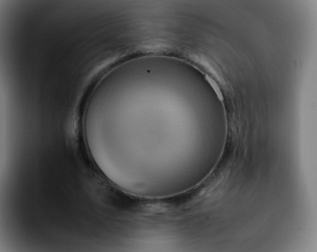 X0000092230583200709211027