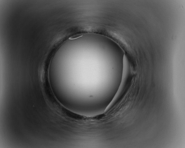 X0000092230587200709211027