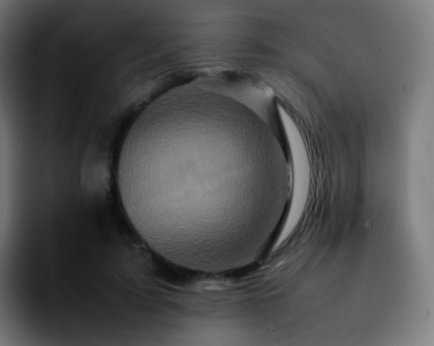 X0000092230595200709211027