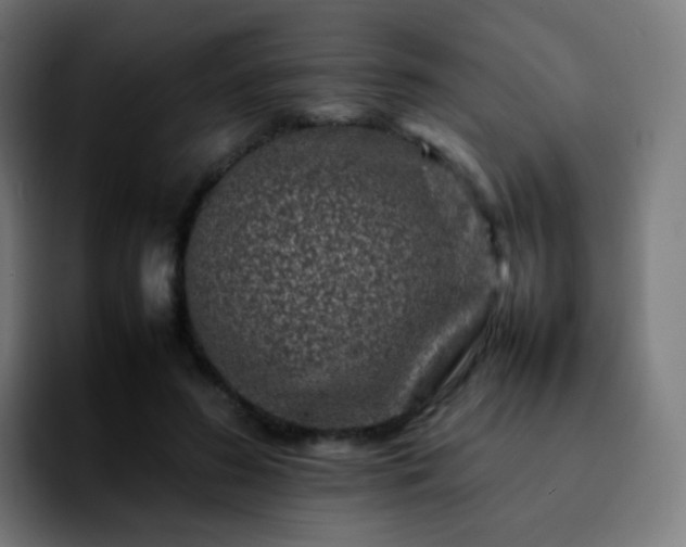 X0000092230596200709211027