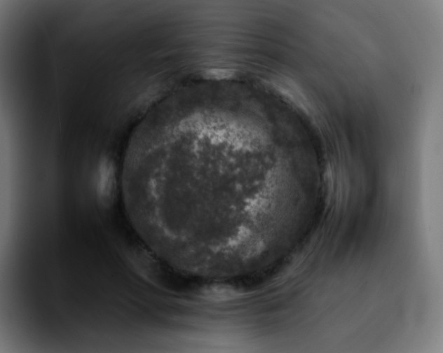 X0000092230598200709211027