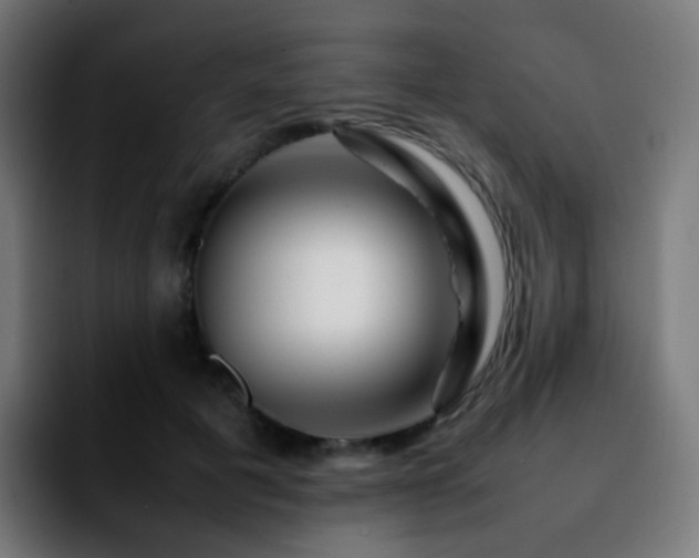 X0000092230601200709211027