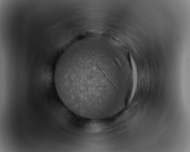 X0000092230608200709211027
