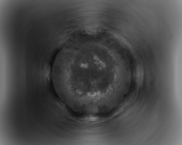 X0000092230610200709211027