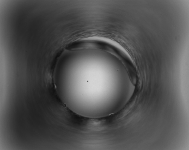 X0000092230613200709211027