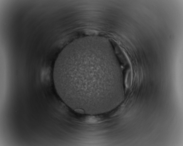 X0000092230616200709211027