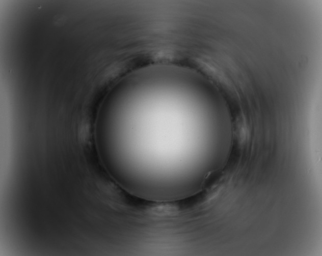 X0000092230619200709211027