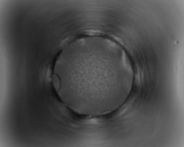 X0000092230620200709211027