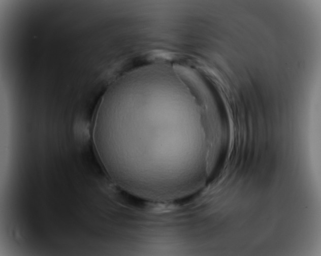 X0000092230621200709211027
