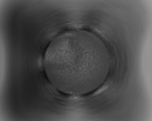 X0000092230624200709211026
