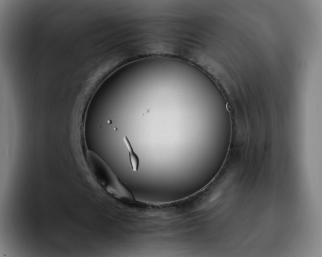 X0000092230625200709211026