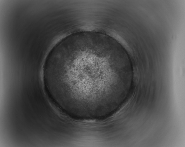 X0000092230626200709211026