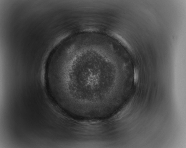 X0000092230627200709211026