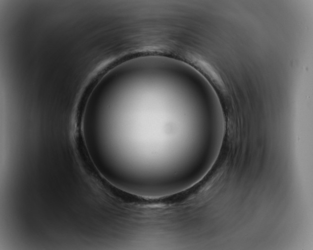 X0000092230628200709211026