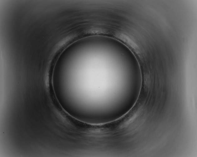 X0000092230629200709211026