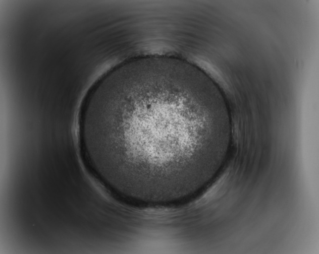 X0000092230630200709211026