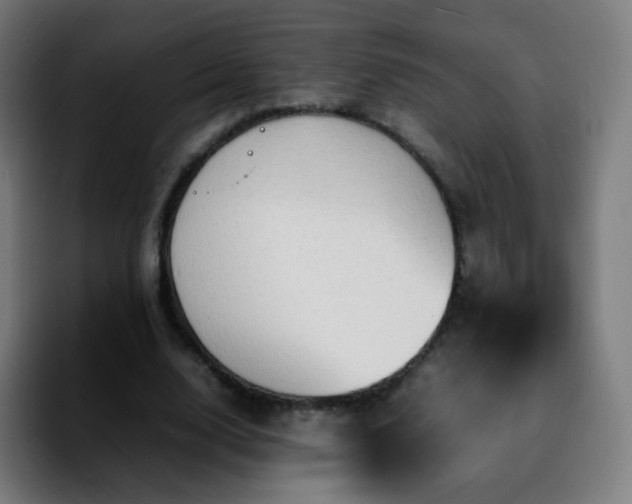 X0000092230632200709211026