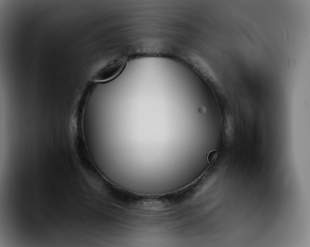X0000092230636200709211026