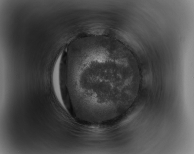 X0000092230641200709211026