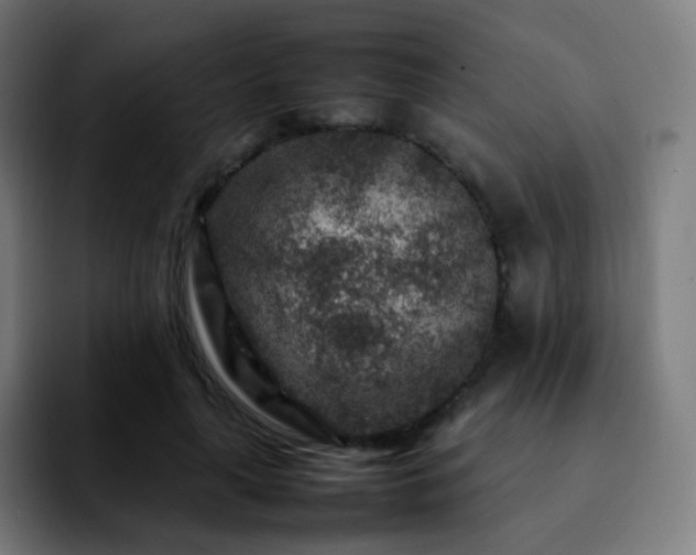 X0000092230643200709211026