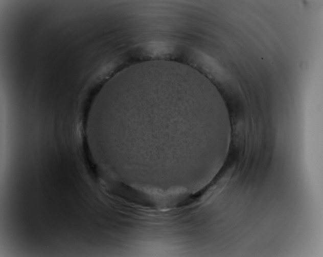 X0000092230644200709211026