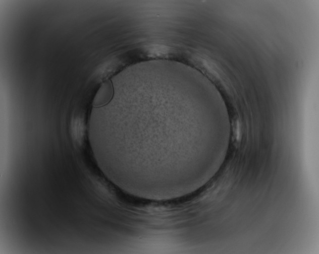 X0000092230648200709211026
