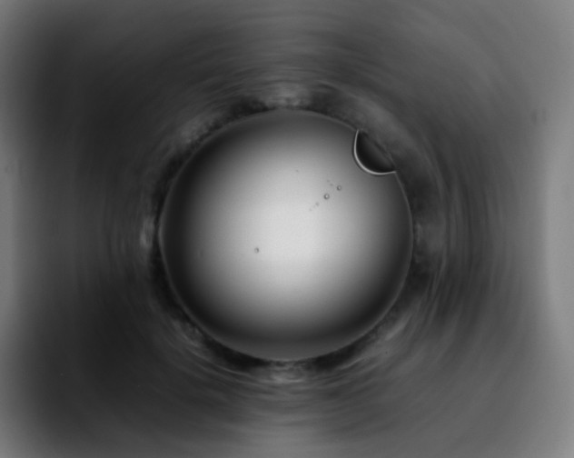 X0000092230652200709211026