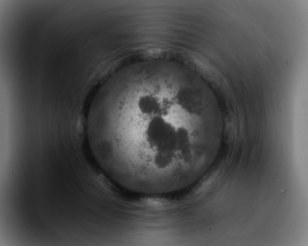 X0000092230654200709211026