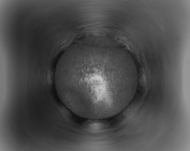 X0000092230658200709211026