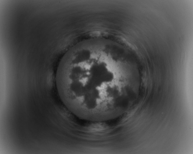 X0000092230659200709211026