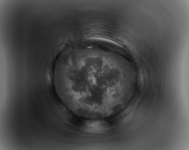 X0000092230661200709211026