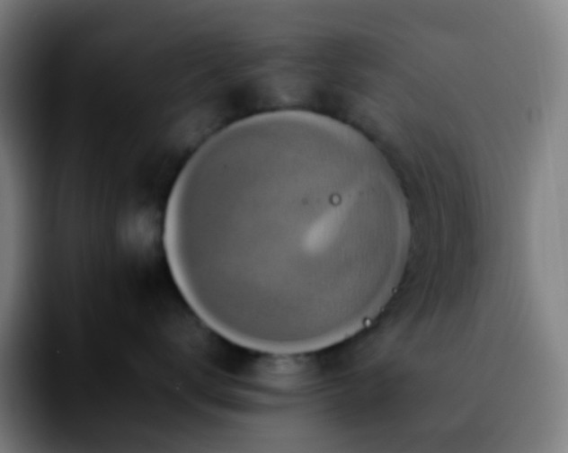 X0000092230672200709211026