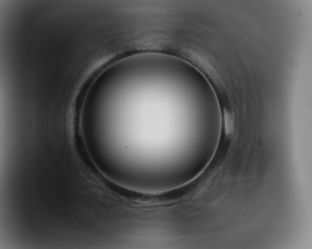 X0000092230675200709211026
