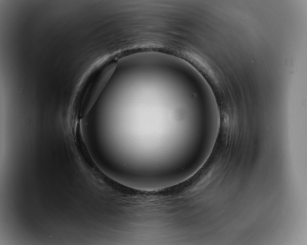 X0000092230676200709211026
