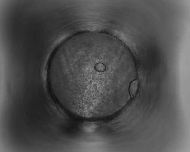 X0000092230679200709211026