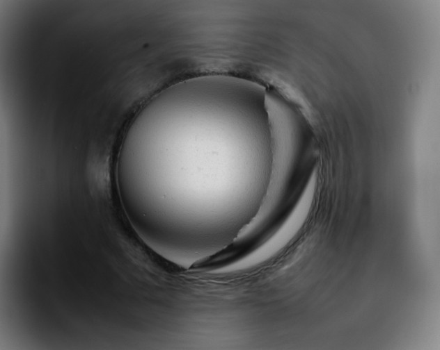 X0000092230681200709211026