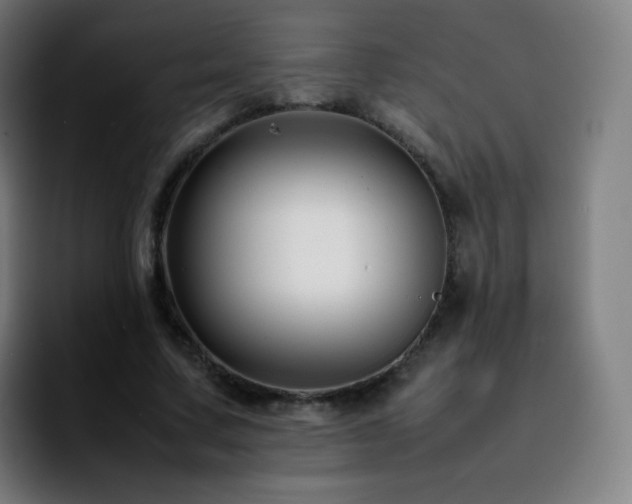 X0000092230683200709211026