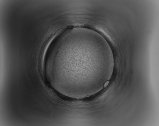 X0000092230685200709211026