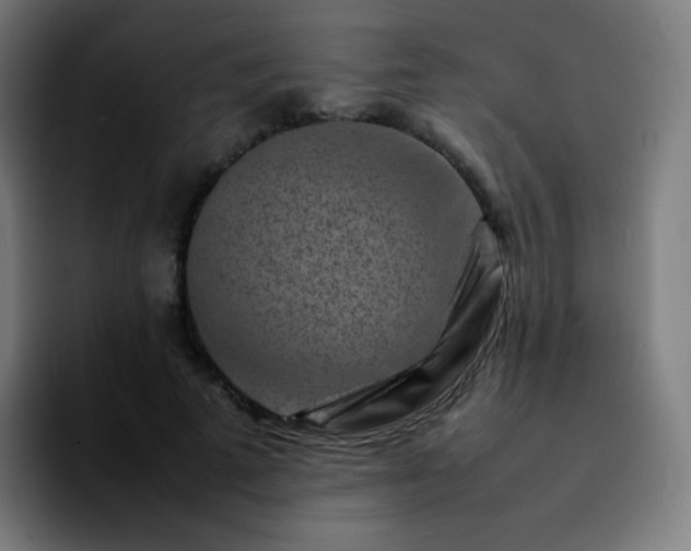 X0000092230689200709211026