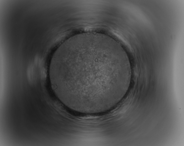 X0000092230691200709211026