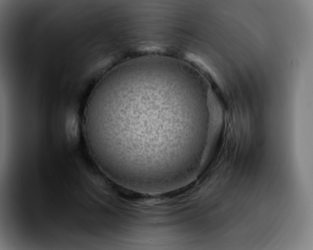 X0000092230692200709211026