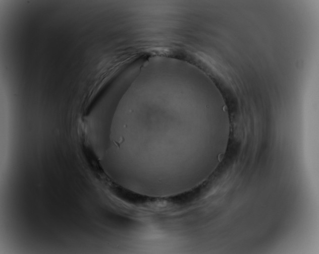 X0000092230695200709211026