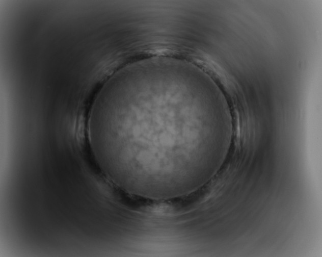 X0000092230696200709211026